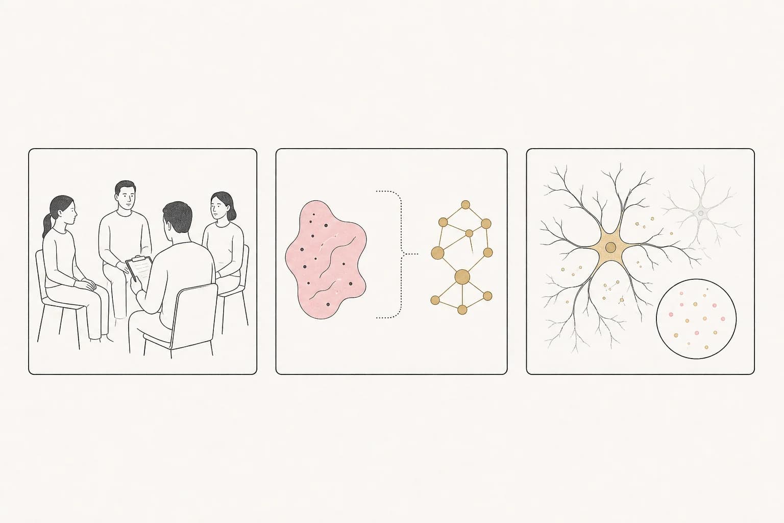 Editorial diagram separating human, combination, animal, and laboratory contexts in Semax research.