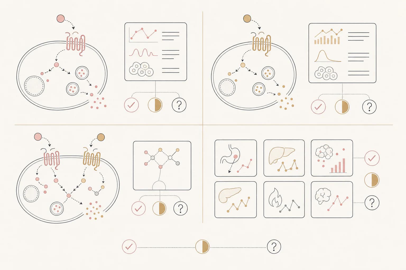 Evidence map for “How Tirzepatide Works: GLP-1 and GIP, Explained,” separating study findings, research context, and unanswered questions.