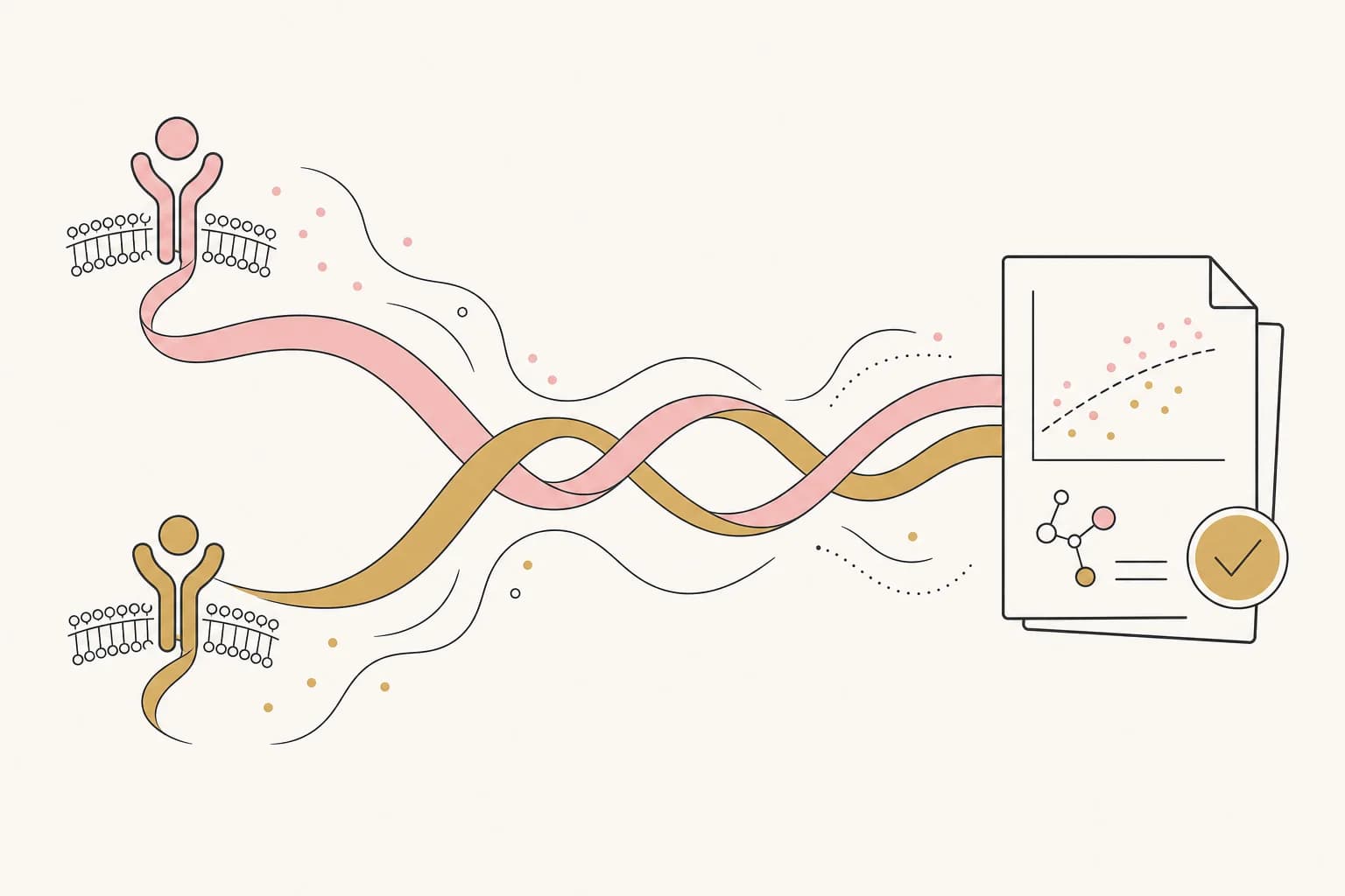 Editorial illustration of two intertwined receptor pathways used to explain tirzepatide research.