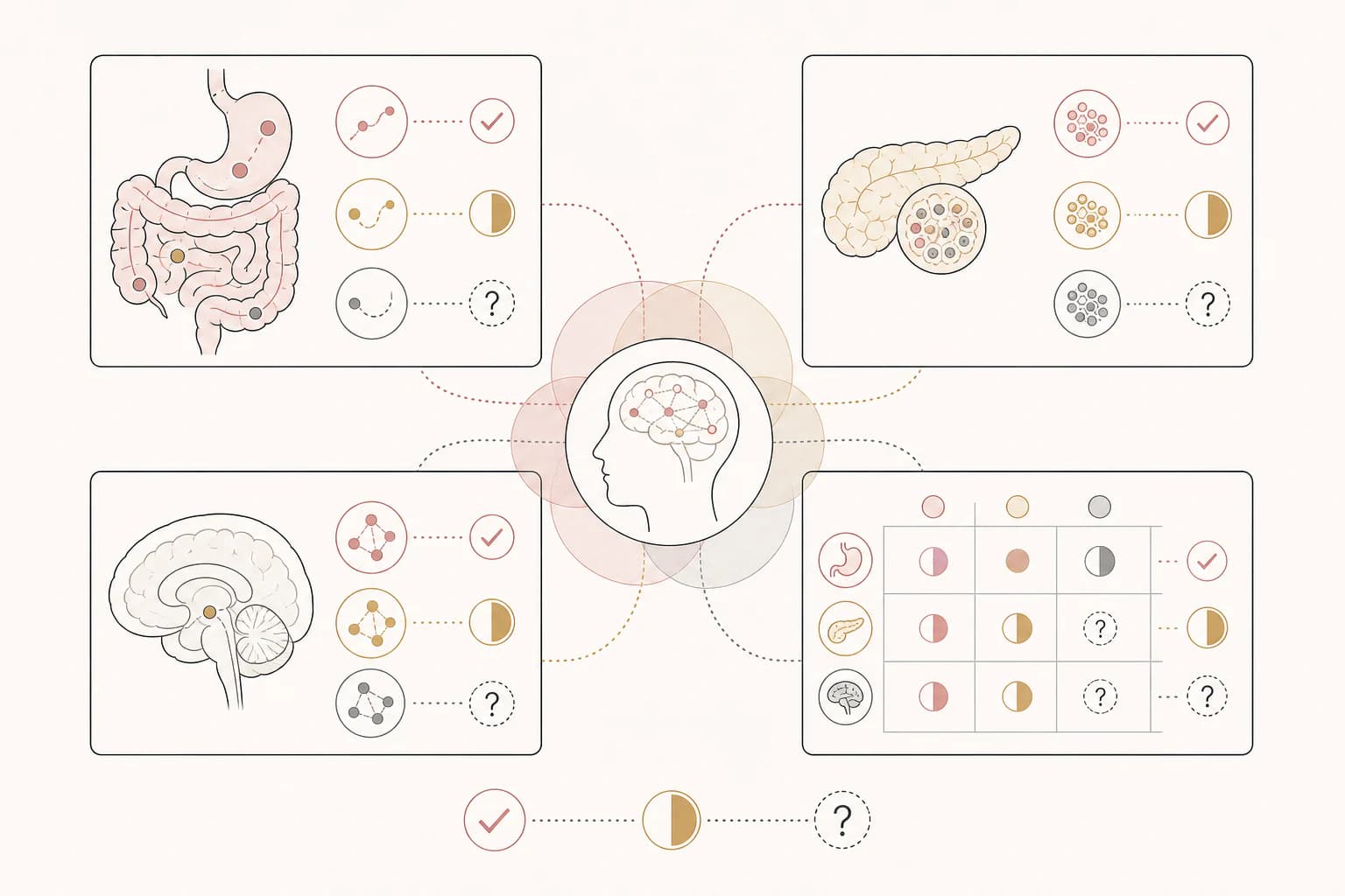 Evidence map for “Why appetite-hormone research looks beyond one target,” separating study findings, research context, and unanswered questions.